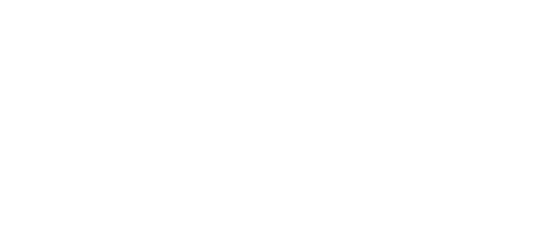 Visa Logo